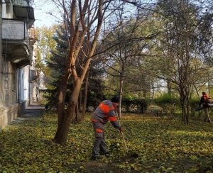 Запорожские коммунальщики похвастались своими ветродуйками и приготовили лопаты